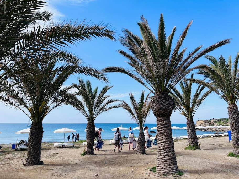 Pura Vida Apartman Santa Pola Kültér fotó